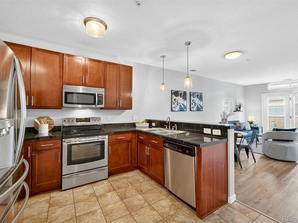 3101 Blake Street 209, Denver CO 80205