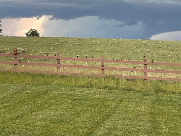 24908 E Alder Drive, Aurora CO 80016