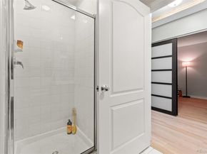 300 W 11th Avenue 10C, Denver CO 80204