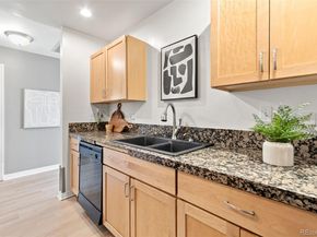 300 W 11th Avenue 10C, Denver CO 80204