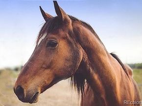 25997 Mountain View Road, Golden CO 80226