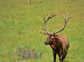 25997 Mountain View Road, Golden CO 80226