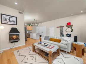 3225 Blake Street 4, Denver CO 80205