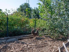 1214 Autumn Court, Longmont CO 80504