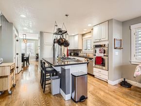 1145 S Logan Street, Denver CO 80210