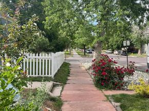 1569 N High Street, Denver CO 80218