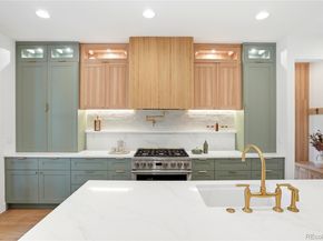 245 S Emerson Street, Denver CO 80209