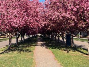 4108 W 118th Place, Westminster CO 80031