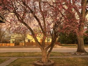 1439 S University Boulevard, Denver CO 80210