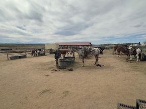 16357 E Aberdeen Avenue, Centennial CO 80016