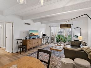 777 N Washington Street 1203, Denver CO 80203
