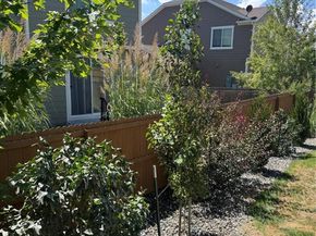 3964 Alamosa Court, Brighton CO 80601