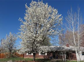 305 Cottonwood Court, Longmont CO 80501