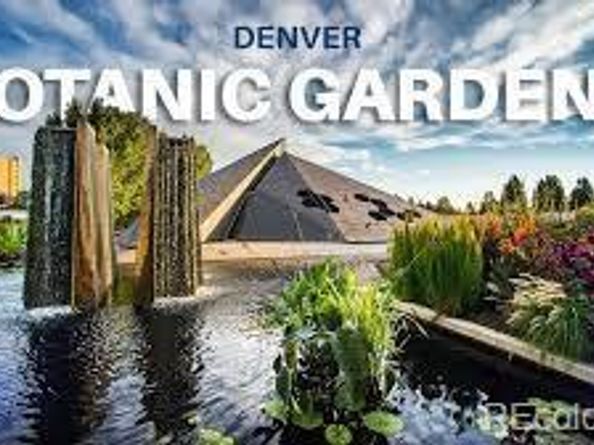 1060 N Washington Street 1A, Denver CO 80203