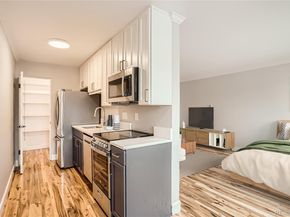 969 S Pearl Street 204, Denver CO 80209