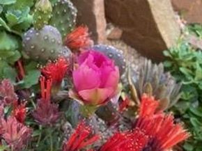 1111 Utica Circle, Boulder CO 80304