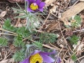 1111 Utica Circle, Boulder CO 80304