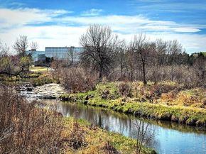 3121 S Tamarac Drive 208, Denver CO 80231