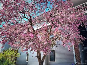 3121 S Tamarac Drive 208, Denver CO 80231