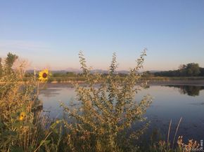 1920 Spruce Avenue, Longmont CO 80501