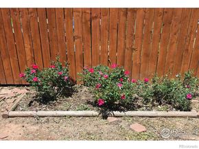 1920 Elmira Street, Aurora CO 80010
