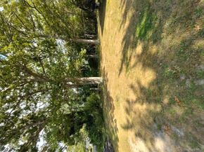 14 Wellwood Drive, Shirley NY 11967