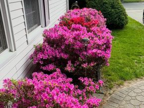 8 Royalston Lane, South Setauket NY 11720