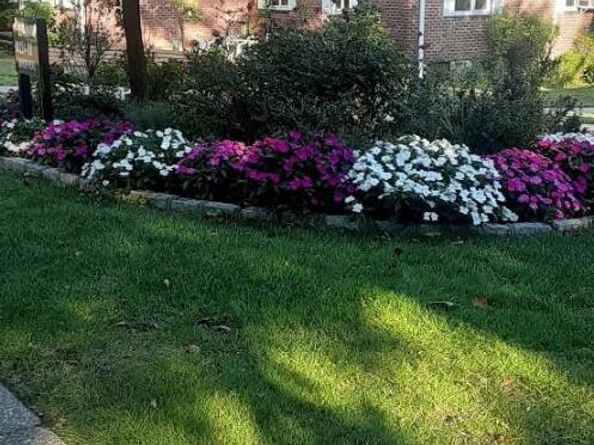 224-04 Manor Road First Floor, Queens Village NY 11427
