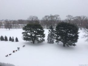 4784 Boston Post Road B45, Pelham NY 10803