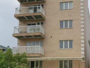339 Ave P