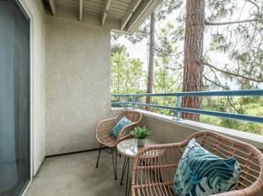 535 Pierce Street 3109, Albany CA 94706