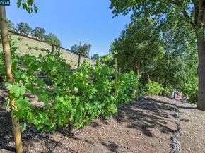 3211 Stone Valley Road, Alamo CA 94507