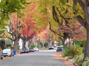 955 Shorepoint Ct 310, Alameda CA 94501