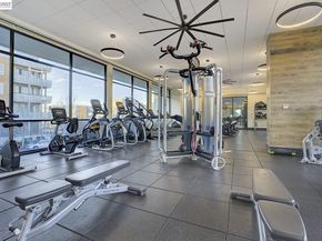 2348 Kinetic Cmn 311, Fremont CA 94539