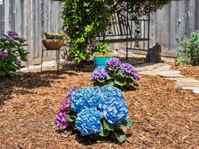 1501 8Th St, Alameda CA 94501