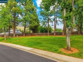 599 Mt Dell Dr, Clayton CA 94517