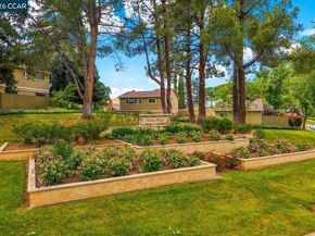 599 Mt Dell Dr, Clayton CA 94517