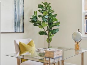 5351 Fioli Loop, San Ramon CA 94582