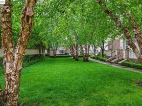 38 Silk Oak Ter, Fremont CA 94536