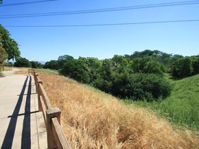1509 Ashwood Dr, Martinez CA 94553
