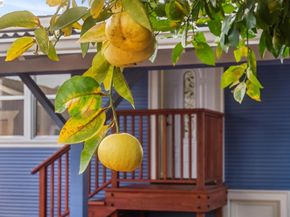 330 Melven Ct, San Leandro CA 94577