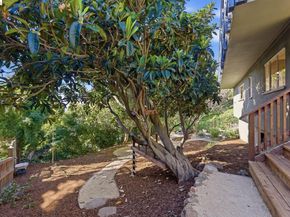 21 Norwood Avenue, Kensington CA 94707