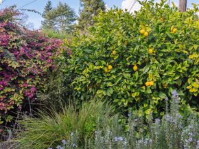 4651 Fair Ave, Oakland CA 94619