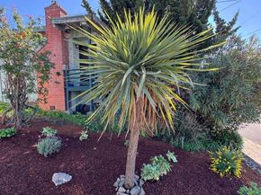 1909 Francisco Way, Richmond CA 94805