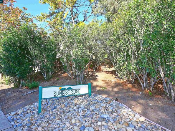 2514 Fern Leaf Ln, Martinez CA 94553