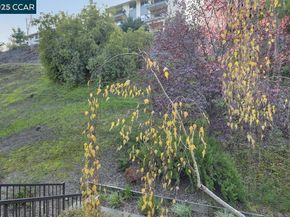 1405 Ptarmigan 1, Walnut Creek CA 94595