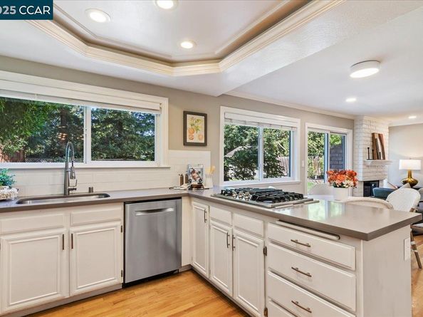 587 El Capitan Dr, Danville CA 94526