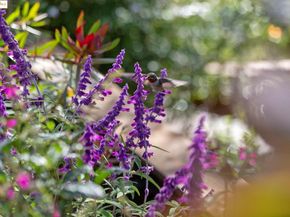 5973 Rincon Dr, Oakland CA 94611