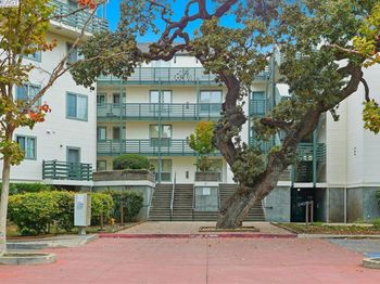 929 E El Camino Real