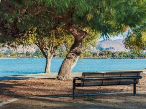 4403 Burke Way, Fremont CA 94536